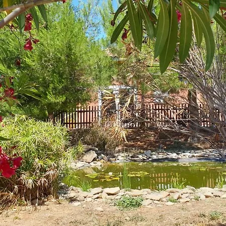 Maison Climatisee Avec Piscine Chauffee Calvisson